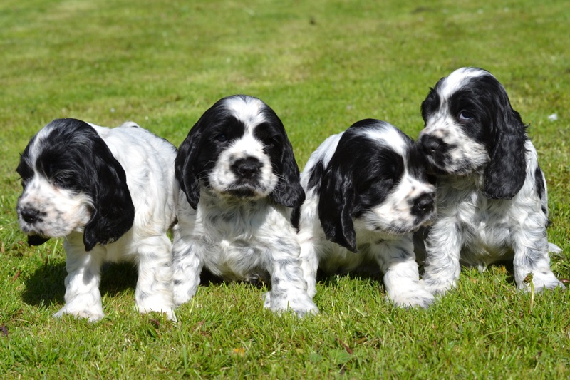 10-Habi, Hanny, Hart, Haidi.JPG